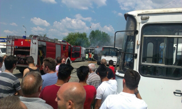 avtobus1