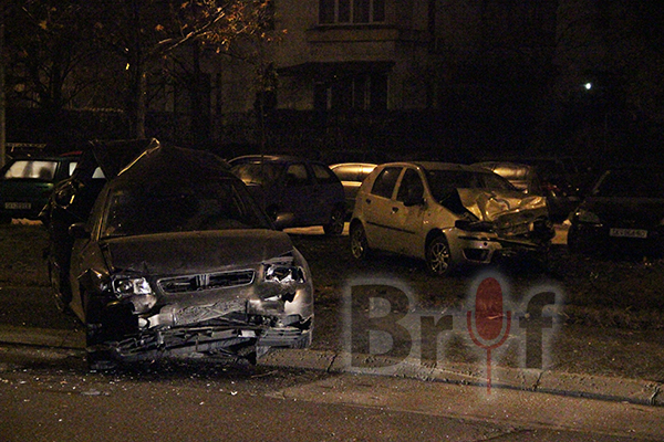 soobrakjajka_novo_lisiche_6-12-2015_3