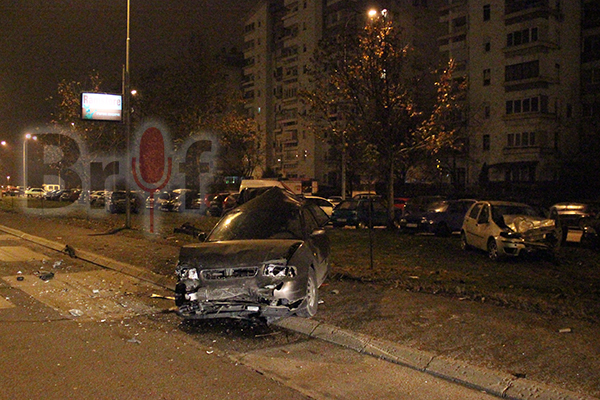 soobrakjajka_novo_lisiche_6-12-2015_4