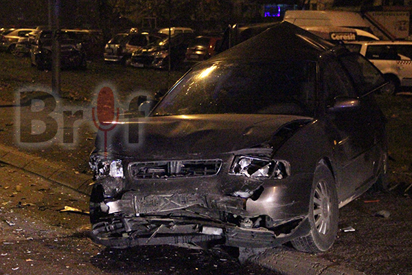 soobrakjajka_novo_lisiche_6-12-2015_5