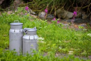 milk-cans-4585830_960_720