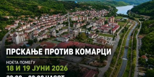 Каменица