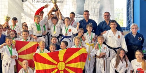 каратисти