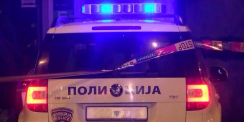 полиција (5)