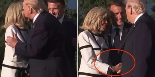 трамп брижит