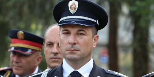 veselinmilic